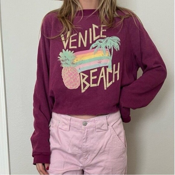 Wildfox Women's XS Venice Beach Pullover Cropped Sweatshirt Oversized Plum - Picture 1 of 11